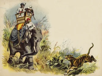 O tiro do tigre do Príncipe de Gales durante a turnê real na Índia, 1905 (chromolitho)
